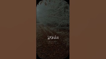 إن الله وملائكته يصلون على النبي - #محمد_السبيل  #سورة_الأحزاب #حالة_واتس