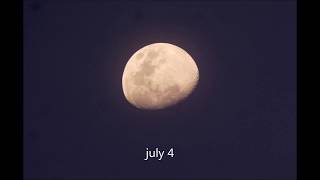 Is the september 'harvest moon' really 8 to 10 times larger than normal?