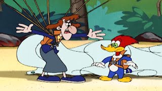 Who Will Win The Castaway Challenge? Woody Woodpecker
