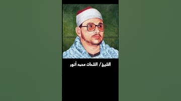 عندما يجتمع جمال الصوت مع روعة الآداء ، الشيخ الشحات انور من نوادر التلاوات