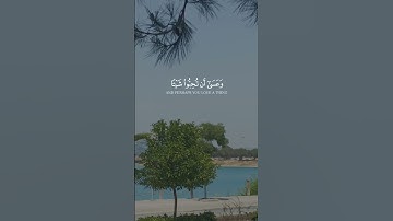 آيات قصيرة من القرآن الكريم حالات واتس آب #اكسبلور #المصحف #kuran #قران_كريم #kuranıkerim