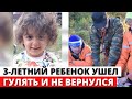 Трехлетний ребенок ПРОПАЛ во время прогулки в Воронежской области