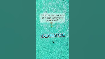 I Lost My Mind Making This Quiz! Can You Beat This Quiz .Questions That’ll Stump 99% of People!