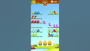 Bird Sort Game Level 60