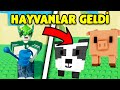 🐶 HAYVAN GÜNCELLEMESİ! - Grow A Garden