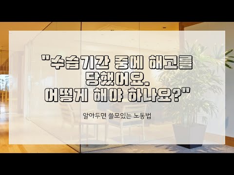 알아두면 쓸모있는 노동법 수습기간 중에 해고 