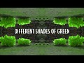 Miniature de la vidéo de la chanson Shades Of Green