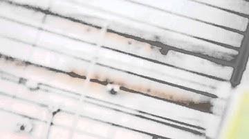 5 Color Screen Print/Music Video!