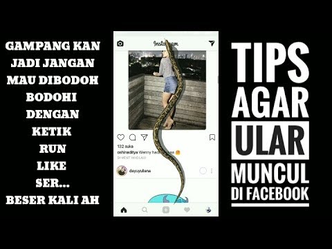 Cara membuat ular di facebook. 100% berhasil. Mudah gampang ( HEBOH ULAR DI FACEBOOK VIRAL ) Cara membuat ular di facebook. 100% berhasil. Mudah gampang ( HEBOH ULAR DI FACEBOOK VIRAL )