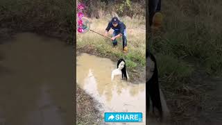 Ariel The Little Mermaid