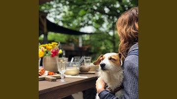 Pulsating Ambience for Separation Anxiety