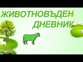 Животновъден дневник: Математиката в основата на успеха, автор Мирела Спасова