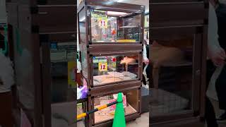 A pet store in a SHOPPING MALL