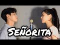 Señorita - Shawn Mendes, Camila Cabello COVER (NIDA X FEB)