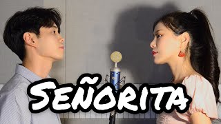 Señorita - Shawn Mendes, Camila Cabello COVER (NIDA X FEB)