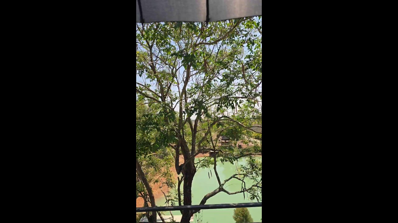 การถ่ายทอดสดของ บอยเศรษฐีนาคราช รีวิวบ้านและที่ดิน 142