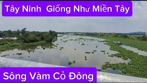 Ven Sông Vàm Cỏ Đông Của Tỉnh Tây Ninh Giống Như Miền Tây.