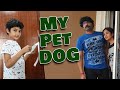 It's My dog | Surprise Reactions on My Son's Special Pet Dog | Vlog | Sushma Kiron