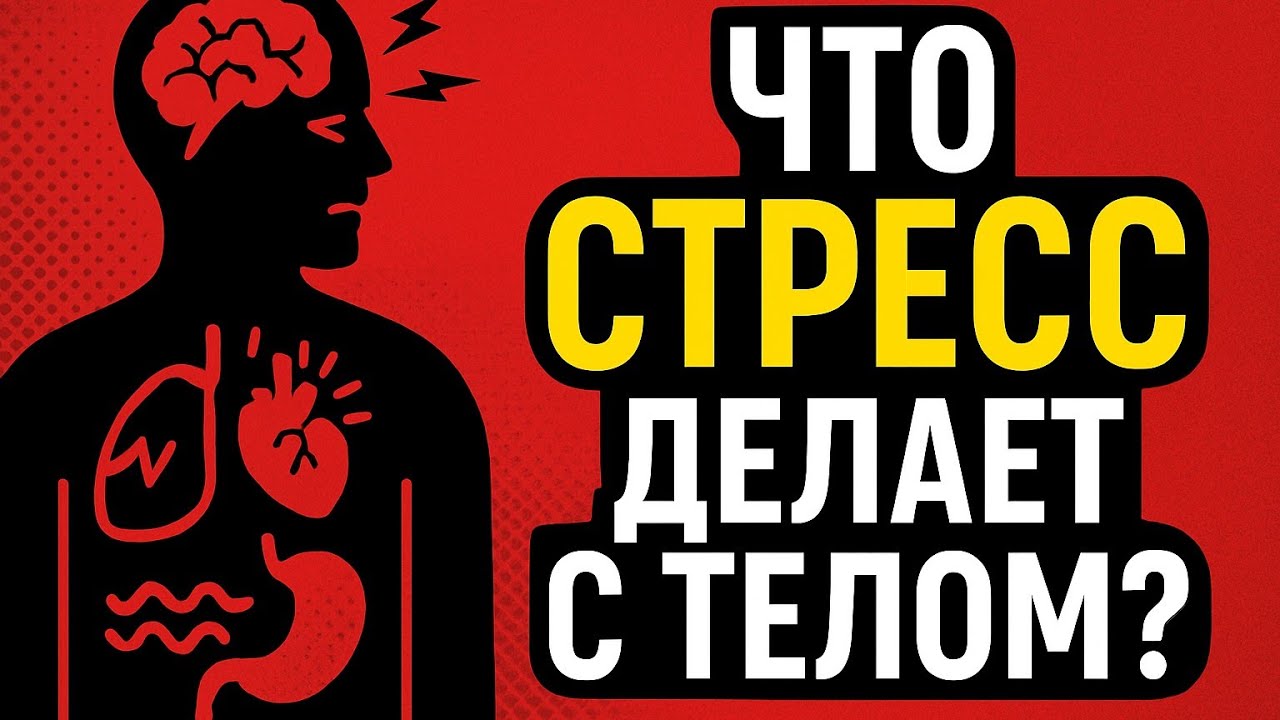Что стресс делает с телом и как с ним бороться?Как #стресс