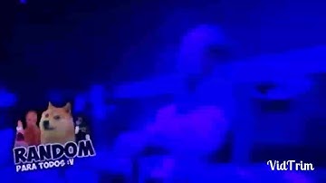 Servers t3lcel wap a full