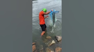 Most Satisfying Cast Net Fishing Video # 5