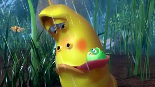 LARVA - Babá | 2019 Filme completo | Dos desenhos animados | Cartoons Para Crianças