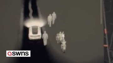 Eerie moment Tesla detected mysterious figures swarming graveyard | SWNS