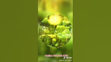 Bánh đúc gân nước cốt dừa ngon thiệt là ngon lắm luôn