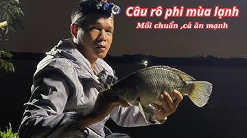 Câu rô phi tự nhiên  - Câu rô phi đầu mùa lạnh