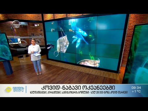 28 000 ტონა კოვიდ-ნაგავი ოკეანეებში - ხელთათმანები, პირბადეები, სანიტაიზერის ბოთლები