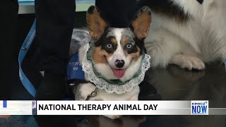 Celebrating National Therapy Animal Day!