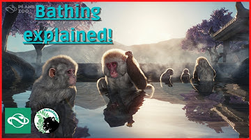 How bathing works & hiding the tap enrichment | Planet Zoo Tips & Tricks