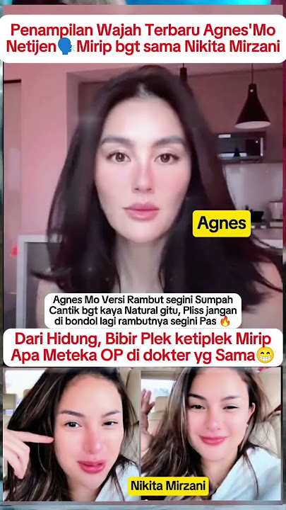 Wajah Terbaru Agnes disebut mirip Nikita Mirzani #shorts #agnezmo #nikitamirzani #agnesmonica #fyp