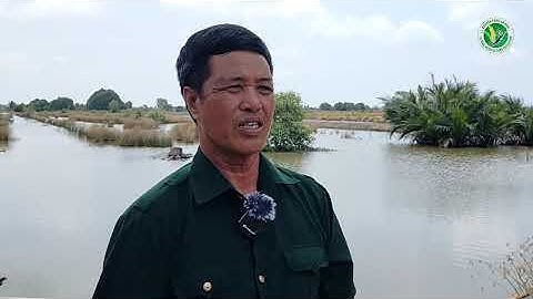 Mô hình nuôi cua kết hợp tôm sú