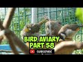 Sunny day bird activity in aviary, Bird Aviary Part 58