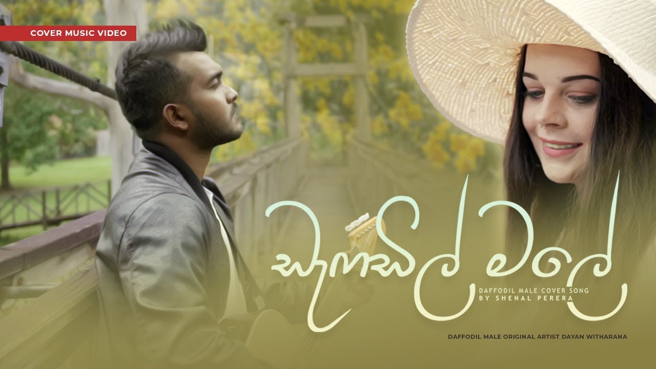 Daffodil Male  Dayan Witharana Cover by Shenal perera