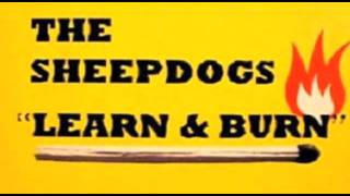 The Sheepdogs - I Don't Know chords