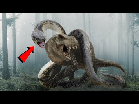 डायनासोर के समय के 5 सबसे खतरनाक जानवर Animals That Were Scarier than Dinosaurs