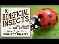 ★ 10 Beneficial Insects You Want in the Garden (Insect Guide)
