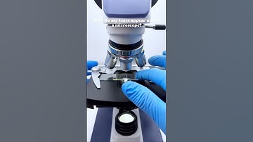 #comedy #codingmemes #coding #programming #programmer #memes #tamil #tamilmemes #codinglove #python