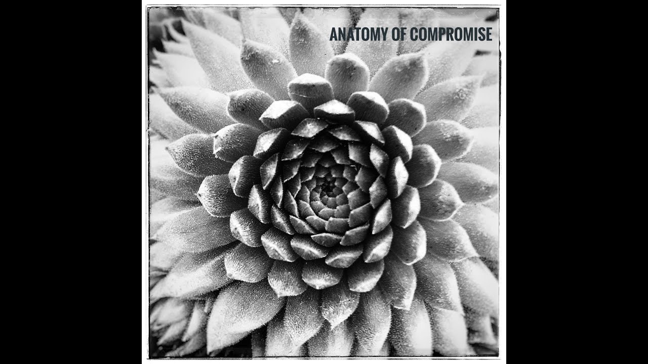 ANATOMY OF COMPROMISE