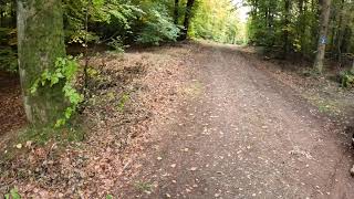 HERBSTTOUR UM BOPPART-2\/2-KULTUR-RAD-TOUREN.