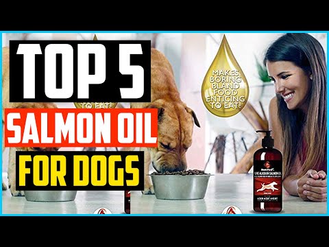 Video: Mi revisión del aceite de salmón de Alaska salvaje superior para perros y gatos