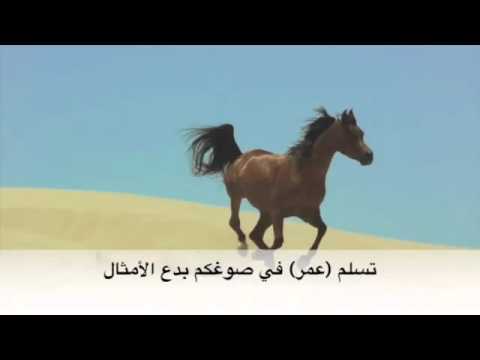شعر في خيل الشيخ عمار بن حميد النعيمي للشاعر سعود الدوسري
