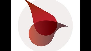 Redbird Math Intro Video for Students