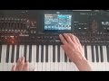 New Italo Disco - Korg Style Pa4x (Danekoo1 ) 2023