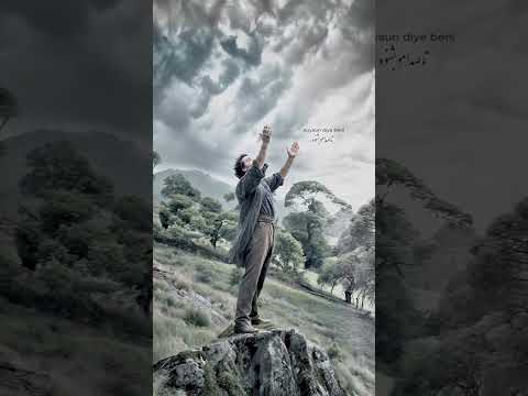 أنشودة الصمود الاقتصادي قصة أمل وإصرار رغم الصعاب