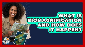 What Is Biomagnification And How Does It Happen? - The Geography Atlas