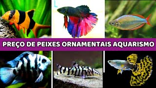 Preço de PEIXES de AQUÁRIO   #aquario #aquarismobrasil