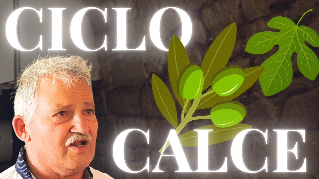 COME utilizzare la CALCE, i SEGRETI svelati dal MAESTRO SALIS